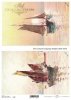 Papel Decoupage Soft S0158